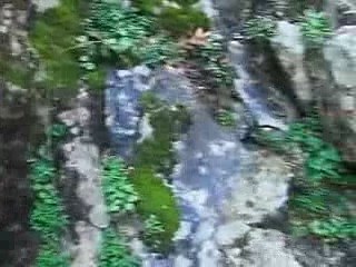 Ağaçlı Köyü Davutlar Yürüyüşü 1