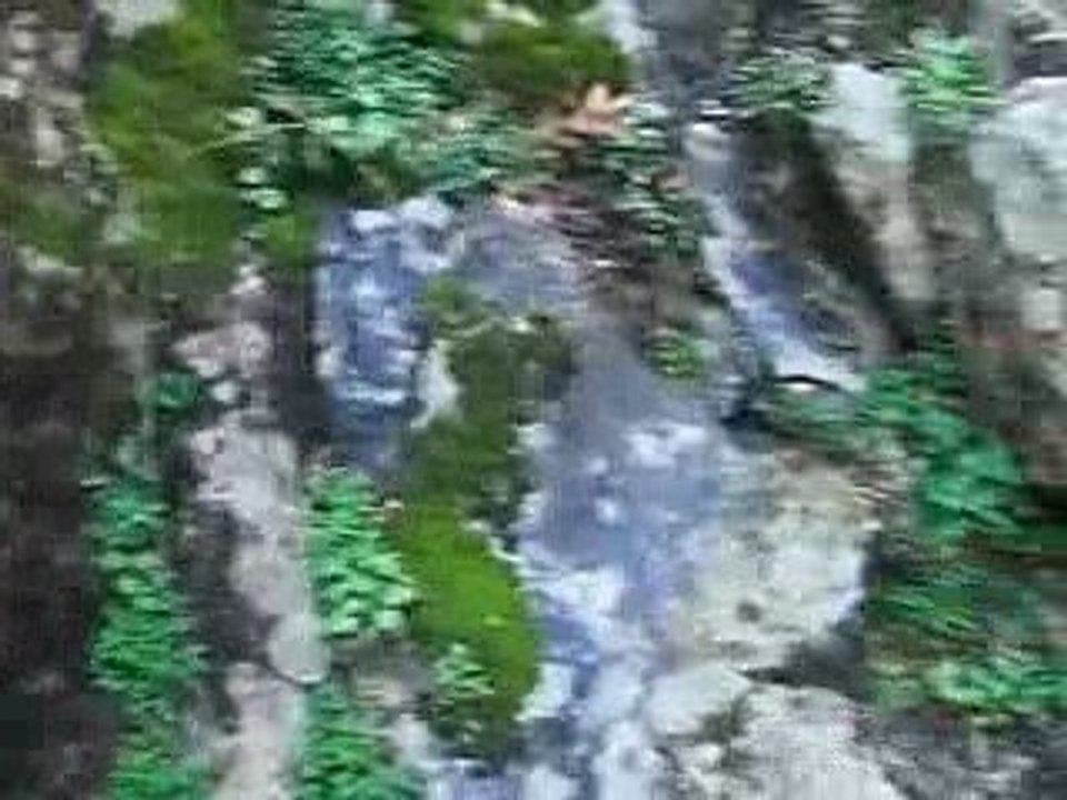 Ağaçlı Köyü Davutlar Yürüyüşü 1