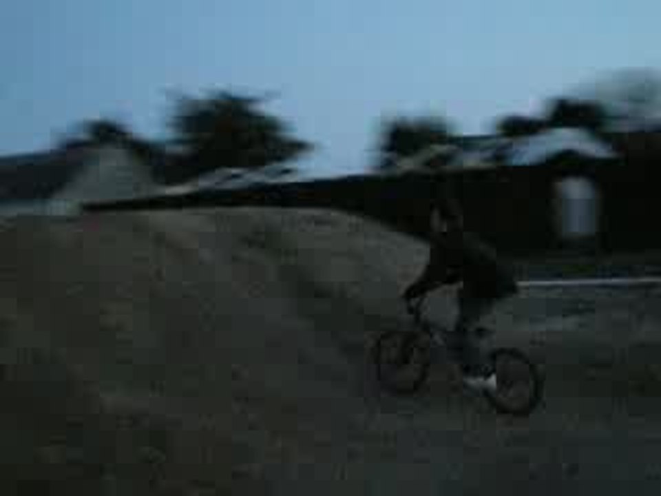 2009 293