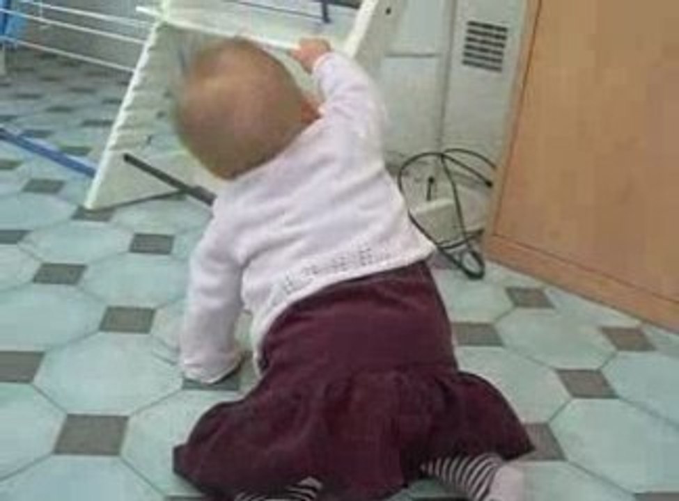 20090309 BABA 4 pattes