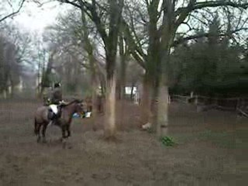 DSCN0391