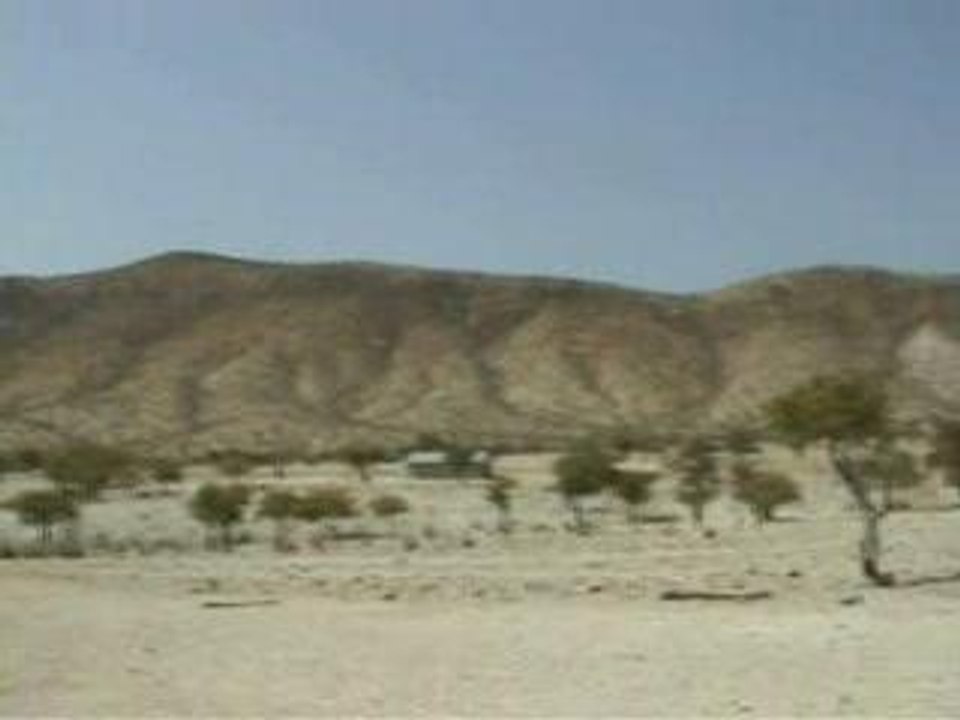 Himba