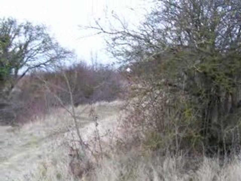 fred enduro 400 ktm exc