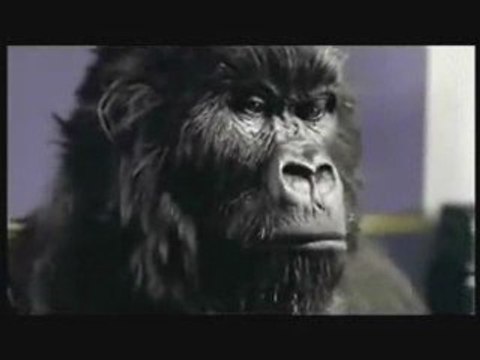 CLIP DEEP PURPLE GORILLA DRUMS CADBURY SMOKE ON THE WATER HQ