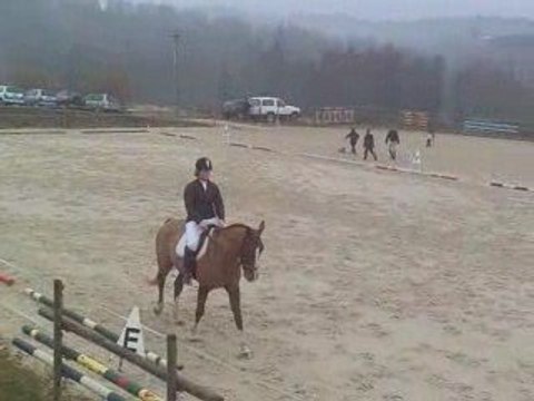 REPRISE DRESS BULLY 220209