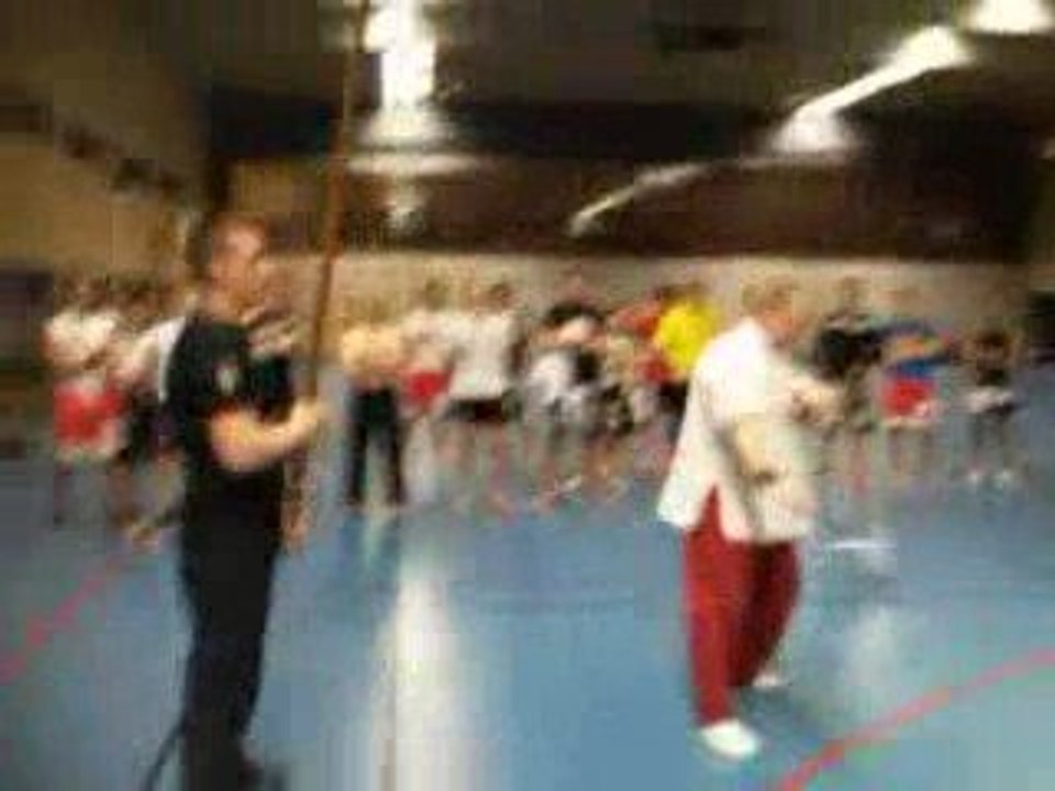 maitrise du chiqong et Casse de bois !!