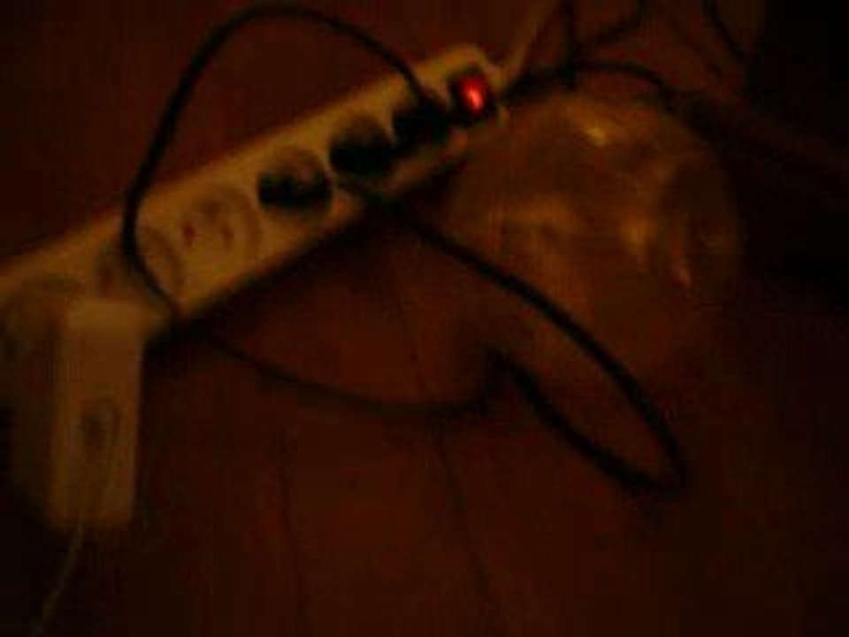 l'hamster dans sa boule