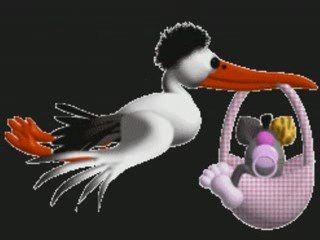 LE 2ème petit TAZ le 09 mars 2009 (03)