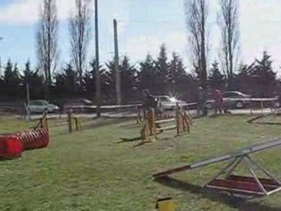 Best boxer agility concours livron