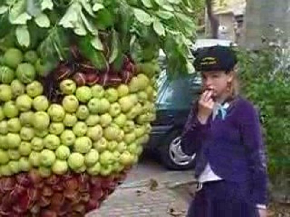 FETE DE LA POMME A MIREPOIX