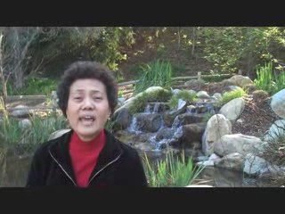 Attention network marketers: Does your compensation plan ...