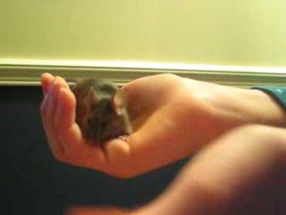 Ma souris