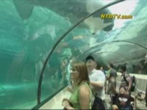 30min World News NTDTV March 9th 2009