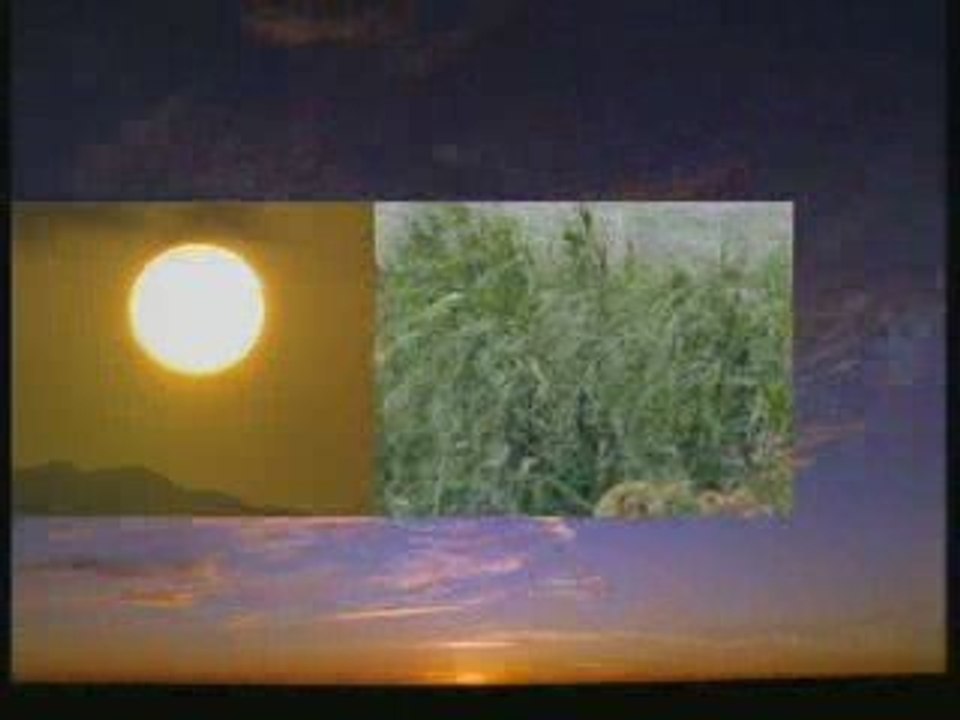 Greenpeace - Renewable energy