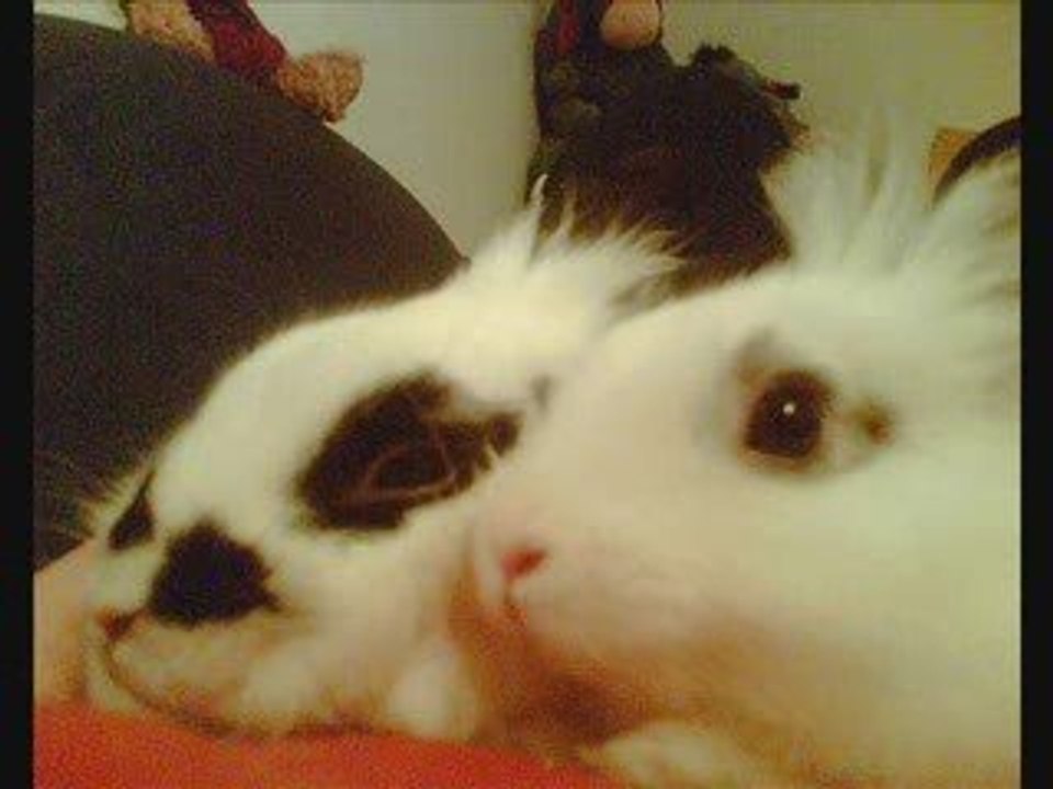 Benny and Luna i love you