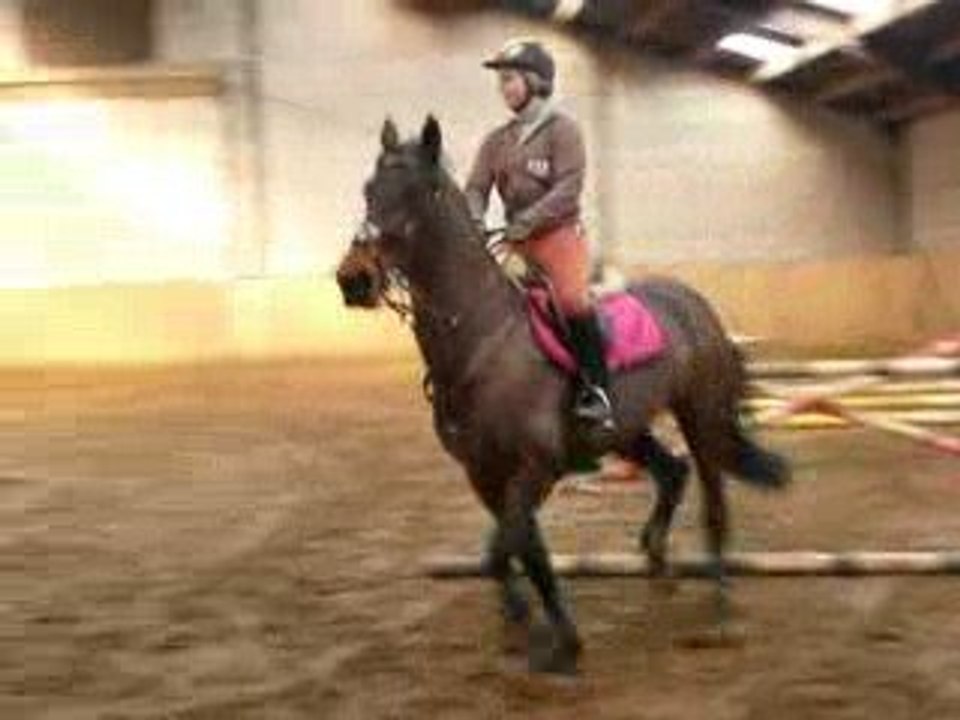 Cours D'obstacle 6-03 019