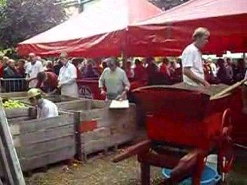 FETE DE LA POMME A MIREPOIX