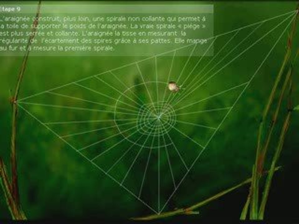 Amek teggar tisist aẓeṭṭa