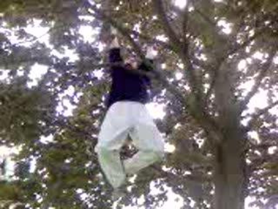 tour de l'arbre