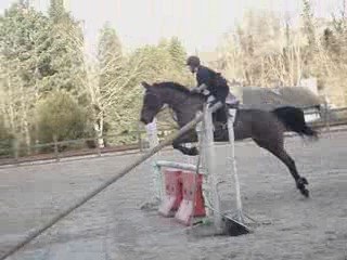 cour de saut du 8 mars