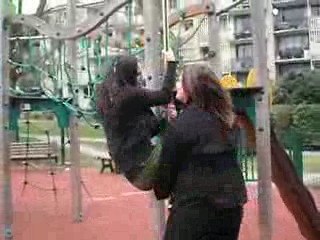 Les Couilles à Palaiseau 2