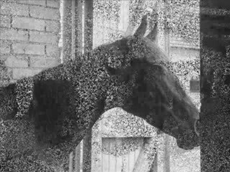 Tant de chemin parcouru... X3