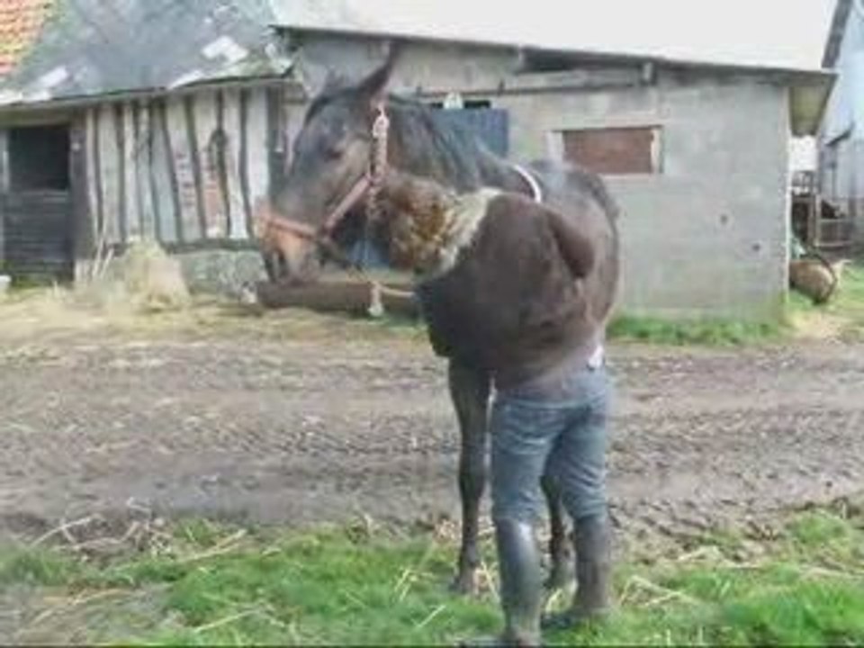 Mars10 2009 dermot gwendo 1ere rencontre