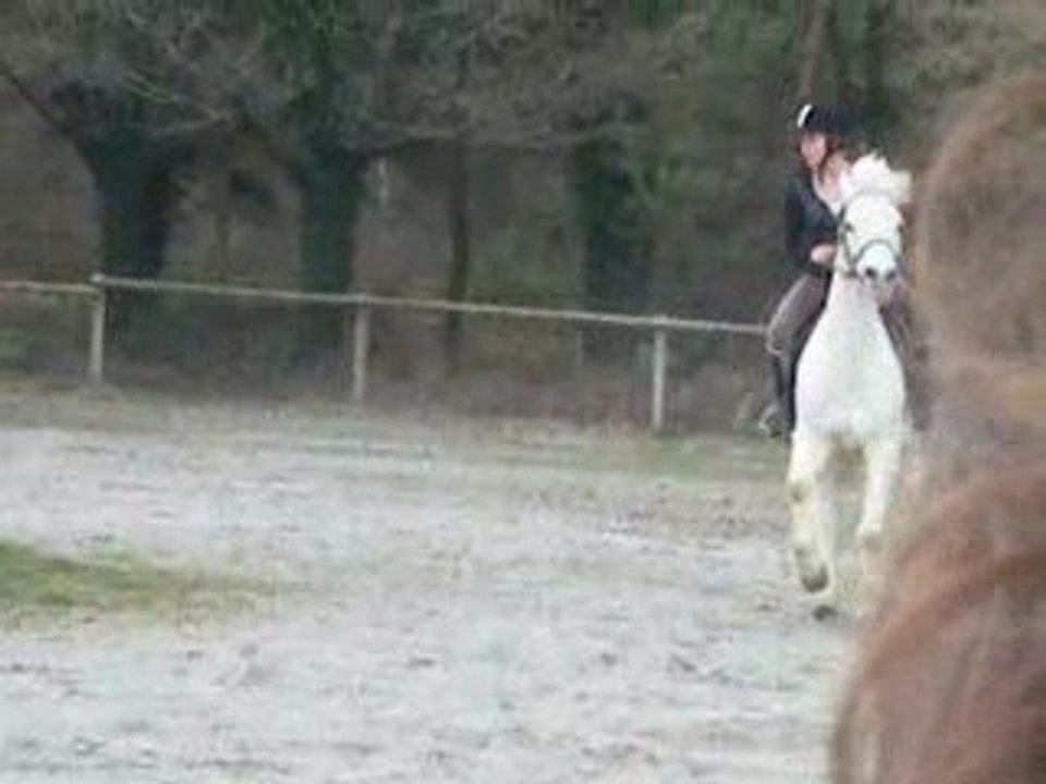 Moi et Hercule    Challenge II