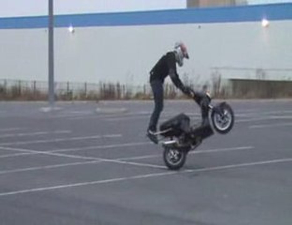 in stunt we trust
