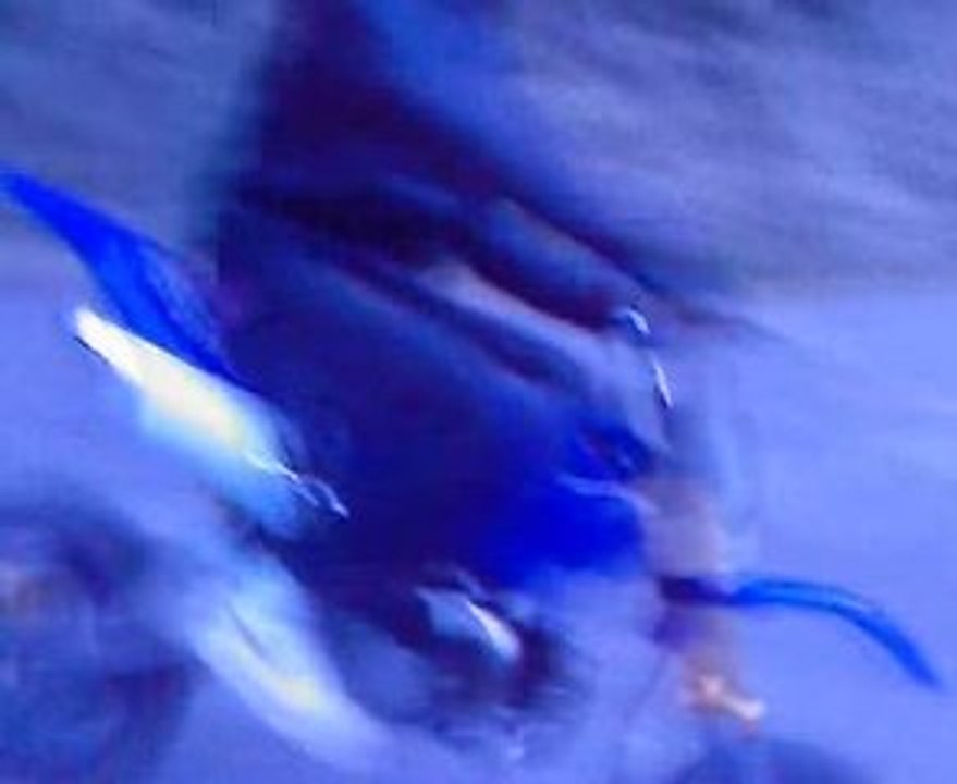 Vidéo-0017