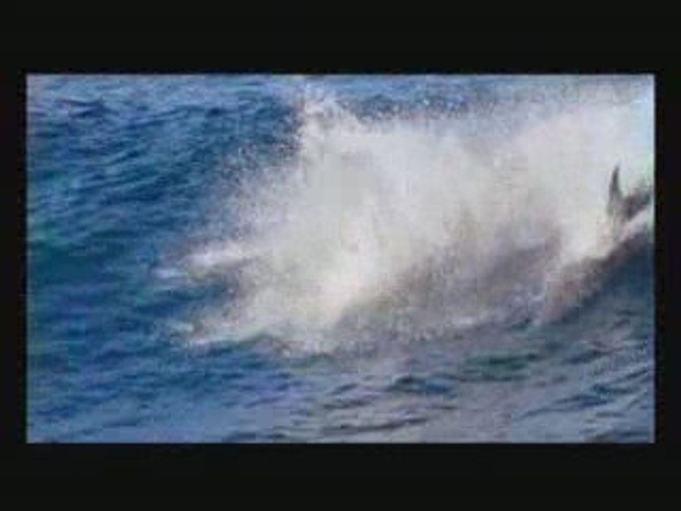 OCEAN