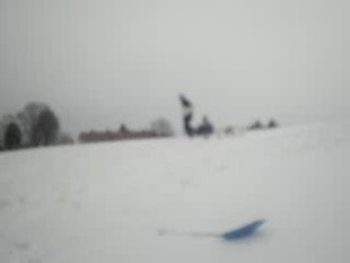 les allemands ne tombent pas eux !!!