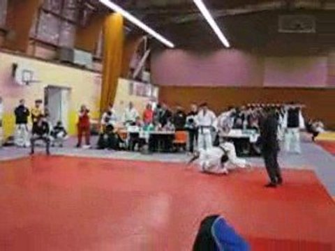 vbrantrand judo combat david 1