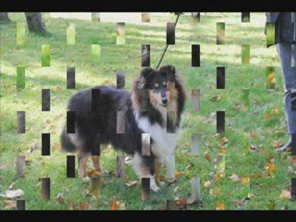 Expo cambrai Octobre 2008