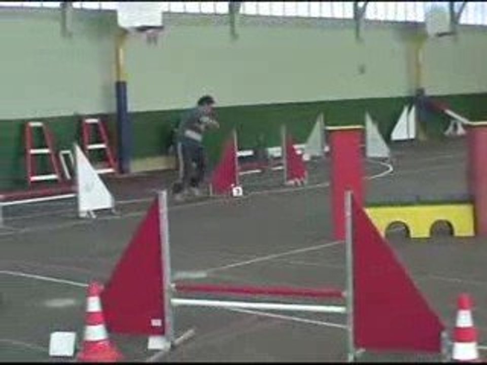Blueberry Jumping Agility Oyrieres 28/02/2009