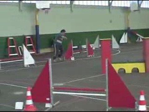 Blueberry Jumping Agility Oyrieres 28/02/2009