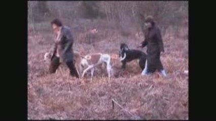 Présentation de l'association Galgos France