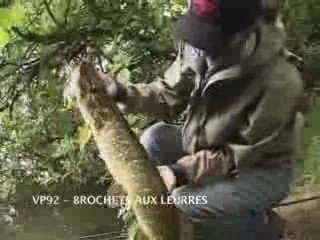 Brochet aux leurres