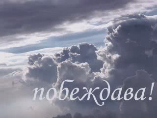 A Love Without Words