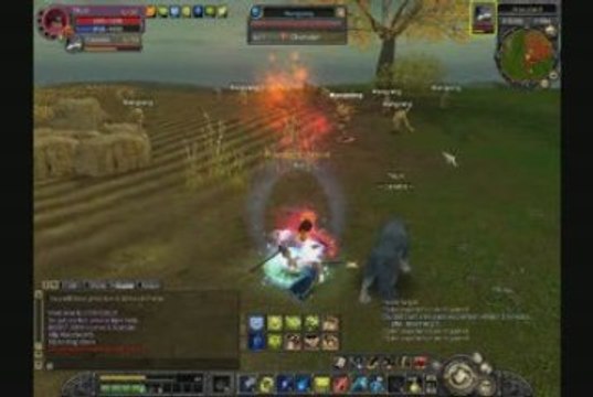 Silkroad Hera lvl 54