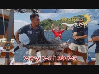 Wahoo big Fishing