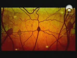 Celulas madre: Una esperanza en Neurologia