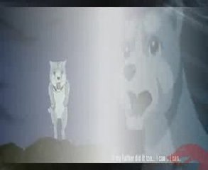 Ginga's Mirror Image