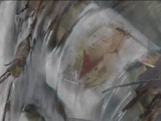 Art - Pat van Boeckel  in Japan