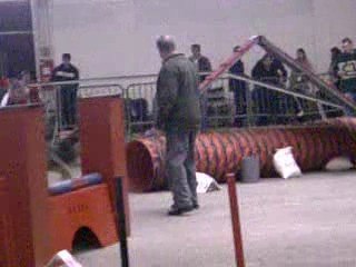 Absie des Côteaux du Lys