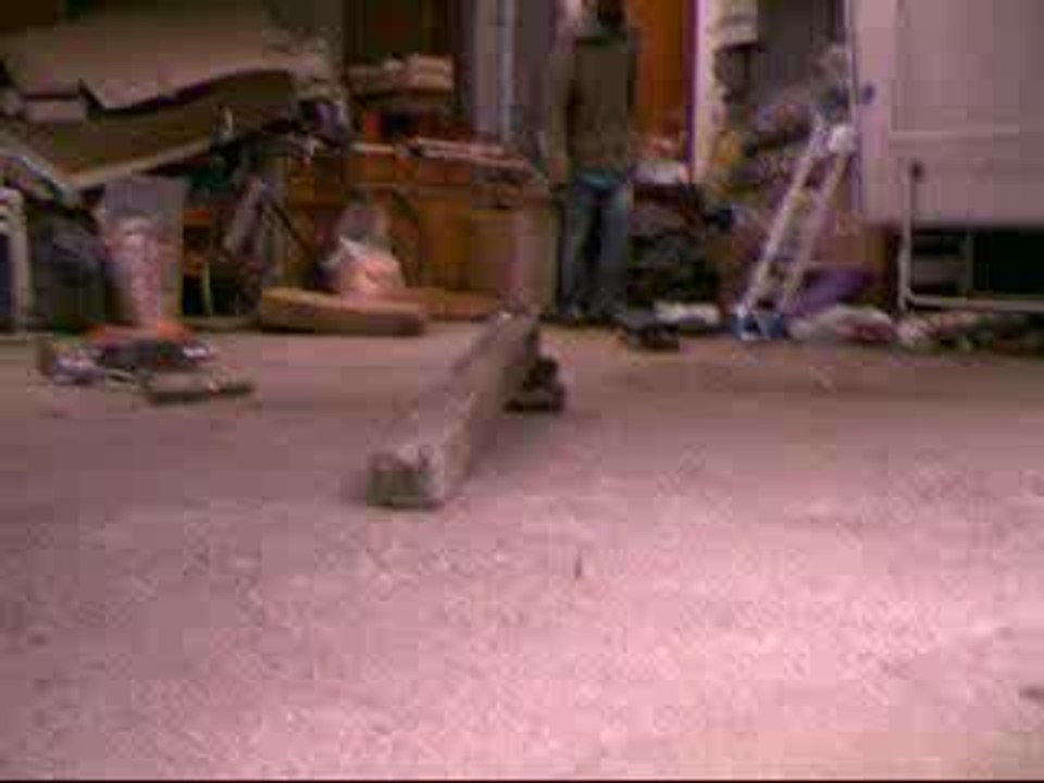 mon pote antoine et son frère 2