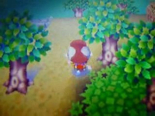 Vidéo teste animal crossing ( ds ) 1 partie