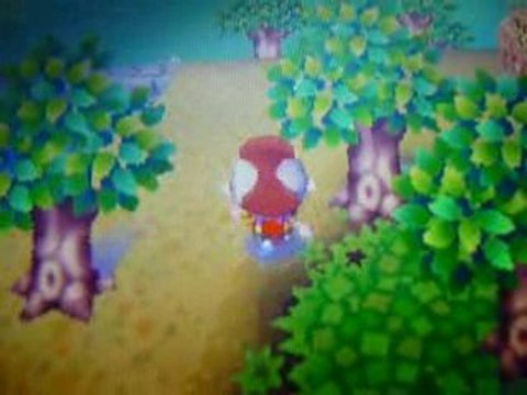 Vidéo teste animal crossing ( ds ) 1 partie