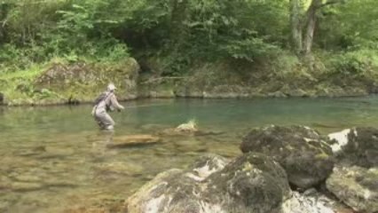 Pêche à la truite dans les torrents du Béarn Pays basque