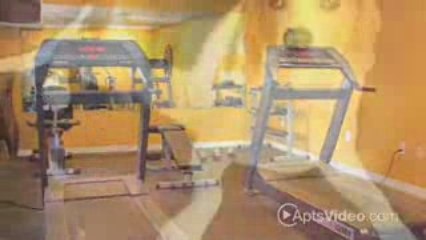 ForRent.com The Lexington Apartments in Sarasota, FL